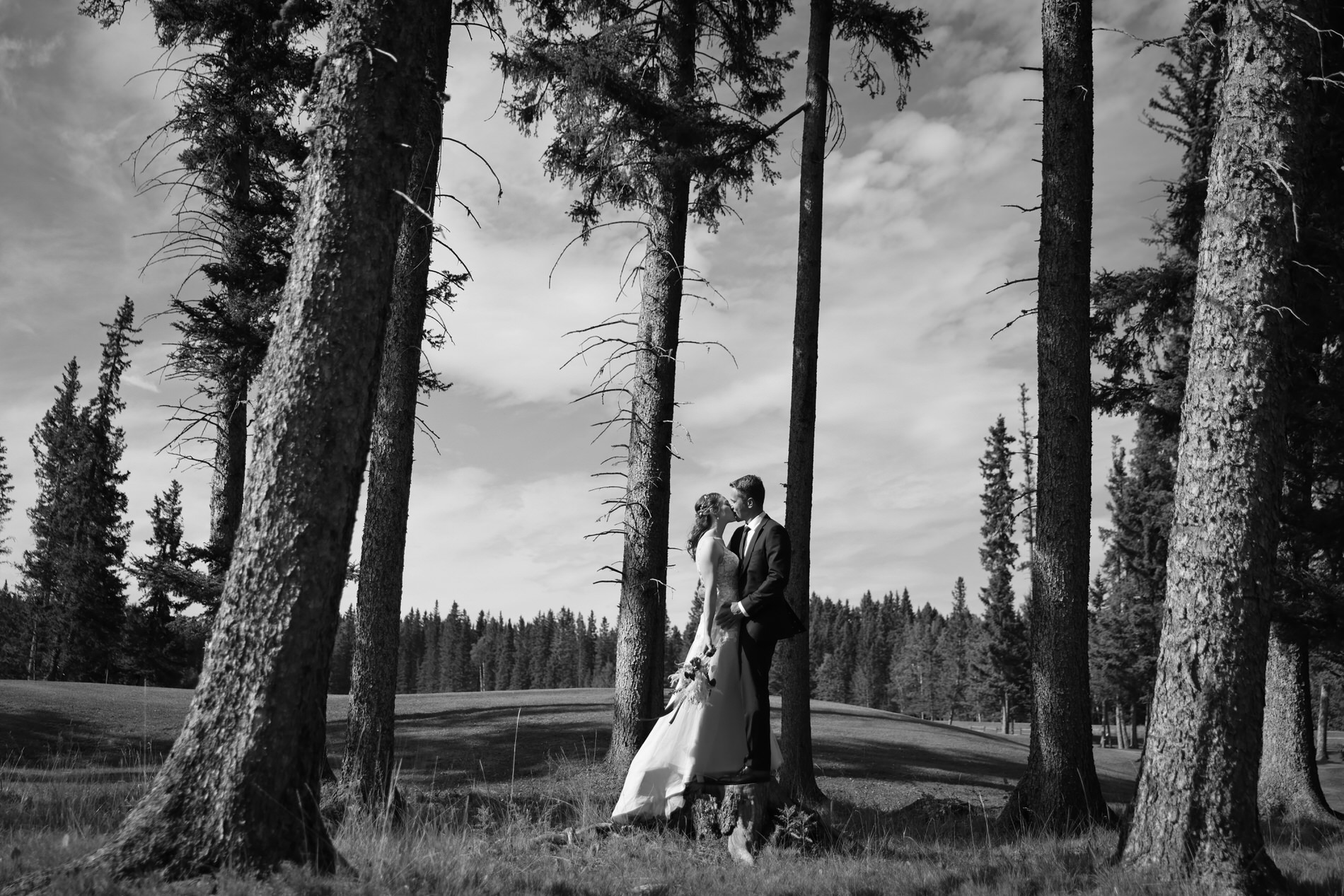 Bride and groom stand on a log for wedding photo in Bragg Creek, AB
